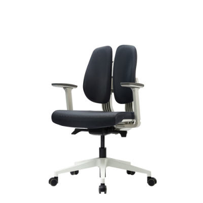 [듀오백] 골드D2-250W(패브릭) 바른자세 편안한 의자